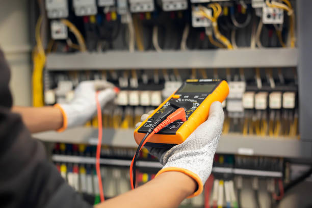 Best Electrical Panel Upgrades  in Mankato, MN